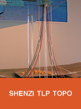 Shenzi TLP Topo